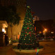 LED red and green gypsophila remote control laser light LED red and green gypsophila remote control laser light